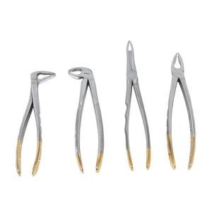pinza veterinaria 1