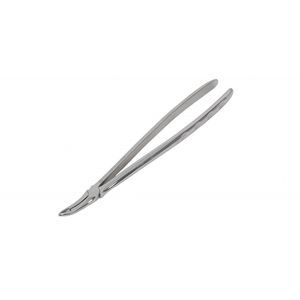 pinza odontoveterinaria 1