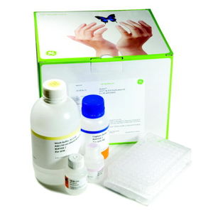 kit di reagenti PCR / per purificazione di DNA / per DNA