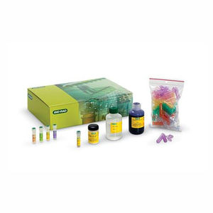 kit di reagenti enzima