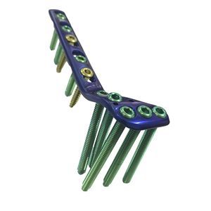 placca di compressione per tibia 1
