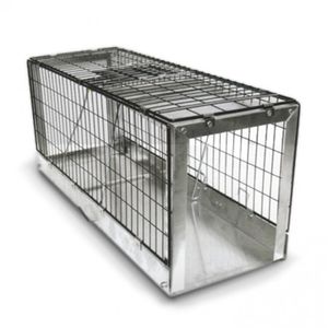 gabbia veterinaria per gatti
