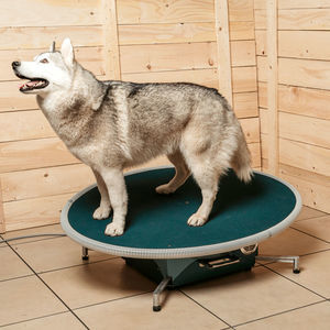 tavola di equilibrio veterinaria