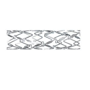 stent coronarico 1