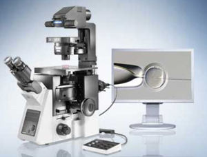 microscopio digitale