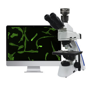 microscopio a fluorescenza