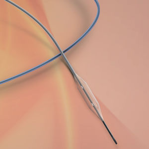 catetere PTA / neurovascolare / a palloncino / idrofilo