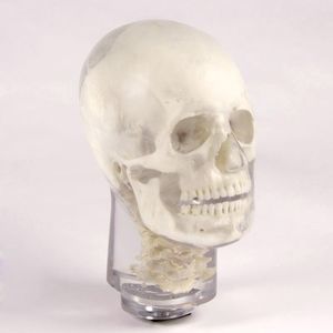 phantom di calibrazione per radiografia 1