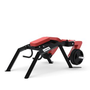 stazione per esercizi muscolari leg curl disteso 1