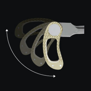 gabbia intersomatica lombare