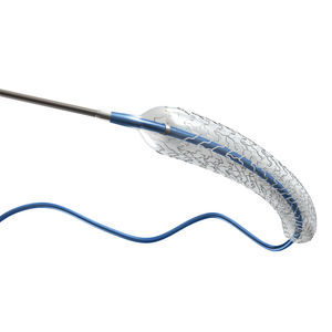 stent coronarico 1