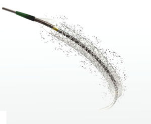 stent coronarico / a rilascio di farmaci