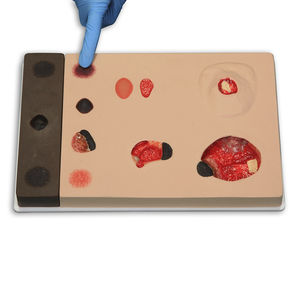 modello anatomico osseo 1