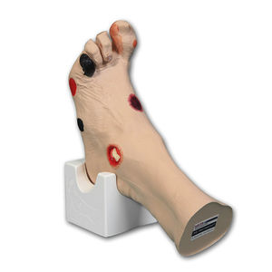 modello anatomico di piede 1