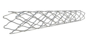 stent coronarico