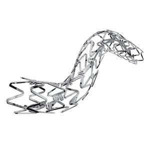 stent coronarico 1