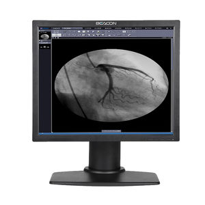 monitor ad alta definizione