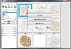 modulo software visualizzatore