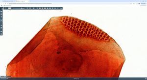 software di gestione