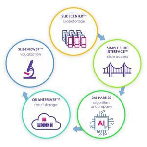 sistema di gestione e analisi di visualizzazione