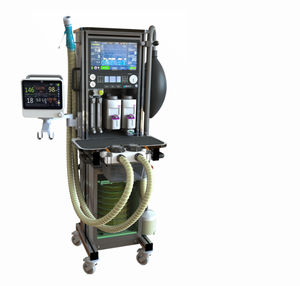 ventilatore veterinario