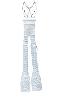 innesto stent aorta addominale 1