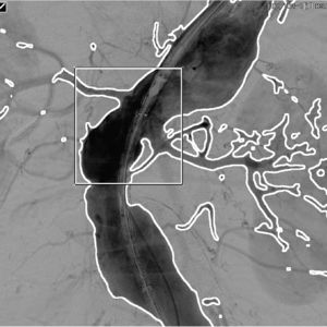 software per diagnostica per immagini