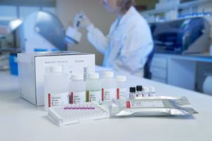 kit di test dell'epatite C / HCV / siero / al plasma