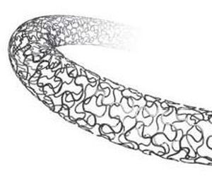 stent coronarico / in acciaio inox
