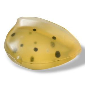 phantom di calibrazione per mammografia 1