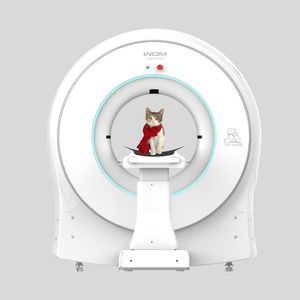 tomografia veterinaria cone beam (CBCT) per animali domestici