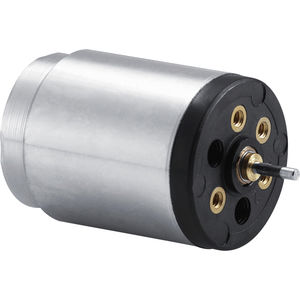 micromotore DC