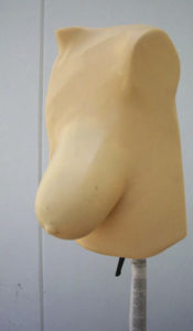phantom di calibrazione per mammografia