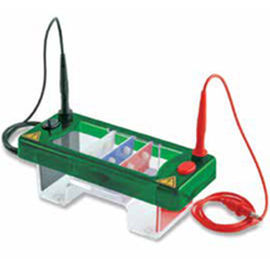 camera di elettroforesi per PCR