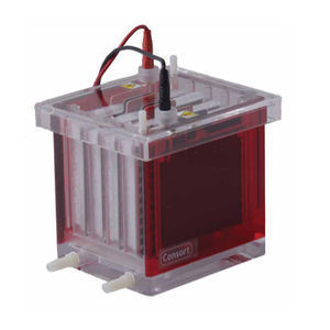 vaschetta di blotting 1
