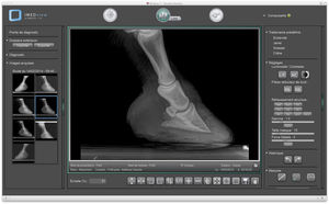 software per radiologia veterinaria