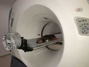 scanner a raggi X ad uso veterinario