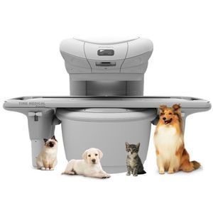 sistema MRI veterinario per animali domestici