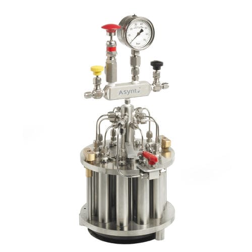 Reattore da laboratorio - Multicell  - Asynt - parallelo / a pressione / in acciaio inossidabile