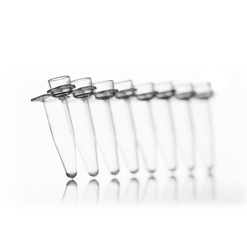 Provetta per PCR - 4ti-079 series - Azenta life sciences - a fluorescenza / da laboratorio
