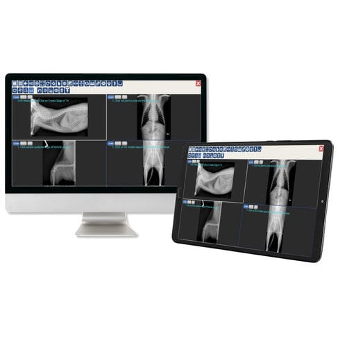 PACS per diagnostica per immagini - JPI Healthcare Solutions - veterinario