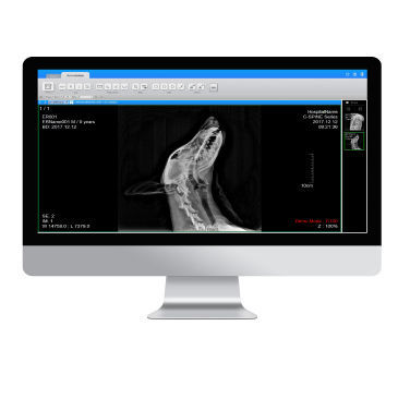PACS per diagnostica per immagini - ExamVue  - JPI Healthcare Solutions - veterinario