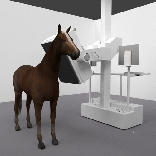 Scanner a raggi X veterinario per equini - MIE