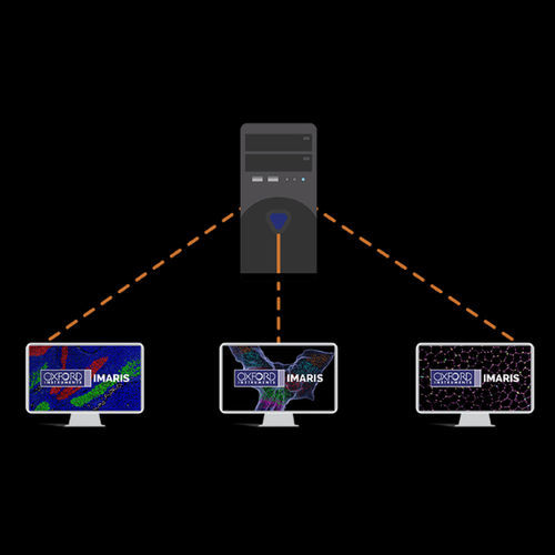 Software per microscopi digitali - Imaris  - Oxford Instruments - per scienze della vita / per biologia molecolare / di analisi delle immagini