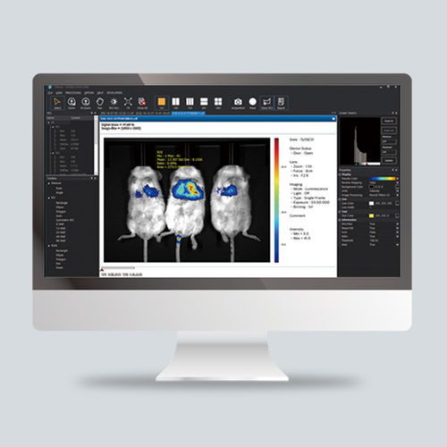 Software di analisi delle immagini - CleVue™ - Vieworks - di controllo / di visualizzazione / di acquisizione