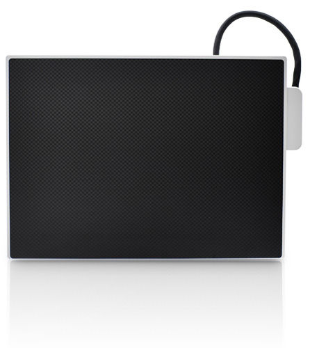 Rilevatore a pannello piatto per mammografia - VIVIX-M 2430S - Vieworks - portatile