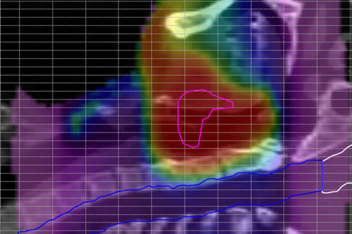 Software medico - ScandiDos - clinico / di anatomia / di analisi