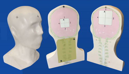 Phantom di calibrazione per radioterapia - Lucy-HD - Standard Imaging - di testa / di cervello / di cranio