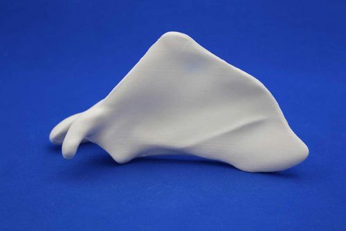 Modello anatomico di scapola - MNO - Créaplast - ad uso didattico