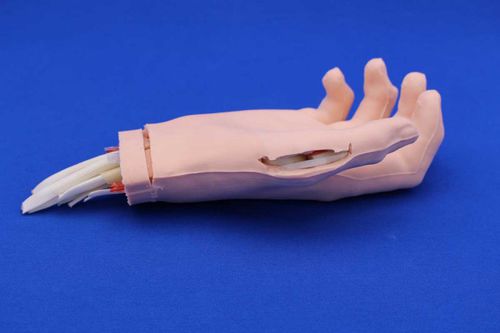Simulatore didattico - HANDACT - Créaplast - per chirurgia / di mano
